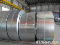 Sell Sell hot dipped galvanized steel coils