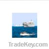 Dangerous goods container shipping to U.S.A from HK/Shenzhen/Guangzhou