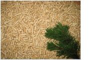 wood pellet, biomass