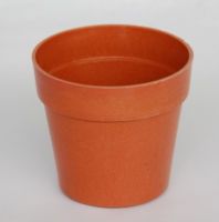 Sell biodegrade flower pots