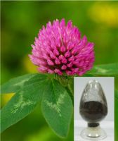 Sell Red Clover *****