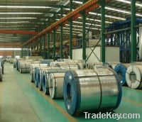 galvanised steel coil