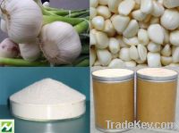 Sell Garlic Extract