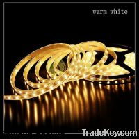 Sell 12V LED Flexible Warm White 5050 Super Bright SMD Strip Lights