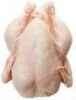 Sell halal whole chicken