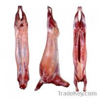 Sell Halal Lamb Carcass
