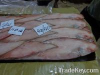 Sell Frozen Sole Fish