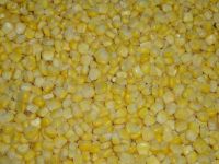 Sell IQF sweet corn kernels