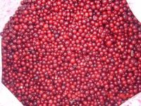 Sell IQF Lingonberries A grade