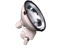 Sell flood lighting for induction lamp
