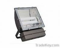 Sell flood light for induction lamp