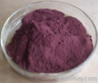Sell Grape seed extract