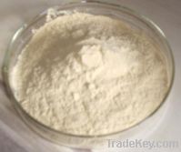 Sell Astragalus root extract