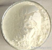 Sell Panax ginseng extract