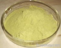 Sell Loquat leaf extract Ursolic acid