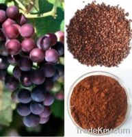 Sell Grape seed Extract(Oligomeric Proanthocyanidins)