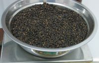 500G/L BLACK PEPPER VIETNAM