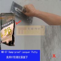 Sell MB-07 Damp-proof Lacquer Putty