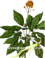 Sell Ginseng Extract