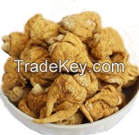 Sell Maca Root Extract