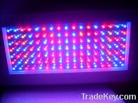 The supplier of 120watt led grow lamps