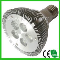 10w high power LED PAR30 Spotlamp