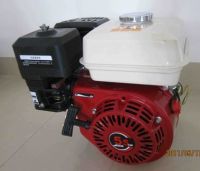 Sell Gasoline Engine 5.5hp
