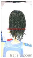 100% Remy Brazilian Hair FULL LACE WIG Afro curly wig