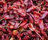 Sell Dried Chiles
