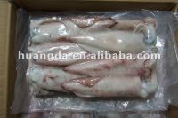 Sell Frozen squid