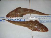 Sell Frozen W/R Indian Flathead