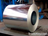 Sell GI (galvanized steel)