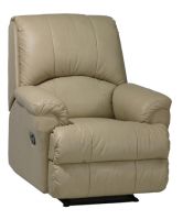 ER007, recliner, sofa, upholstery, home theate, lift chair