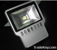 Sell LED Floodlight