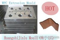Sell window/door profile extrusion mould PVC mould China