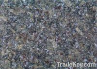 Sell Butterfly Blue Granite supplier