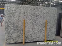 Sell Ice Blue Granite Slab