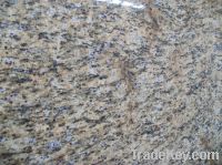 Sell Oriental Yellow Granite Slab