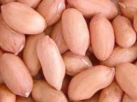 Sell Peanuts from Gujarat india