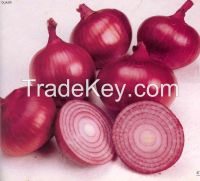 onion