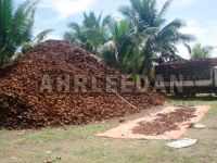 Selling Coconut SHell