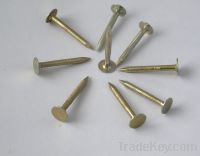 bulk nail/coil nail/paper strip nail