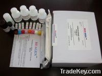 Ochratoxin A ELISA Test Kit