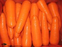 Sell New Corp Fresh Carrots