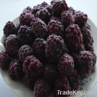 Sell Iqf Frozen Blackberry fruit