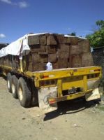 Selling of legally sawed precious woods from atlantic of Nicaragua