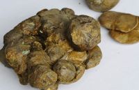 Sell  raw /natural / crude propolis