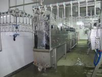slaughter machine, poultry processing line, poultry equipment