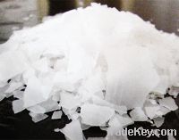 Sell Caustic Soda flakes/pearls
