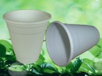 Sell Biodegradable Cup (HHP-03)